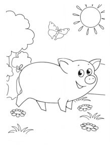 Свинья картинки раскраски (70)