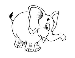 Слон картинки раскраски (10)