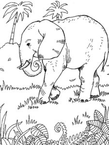 Слон картинки раскраски (12)