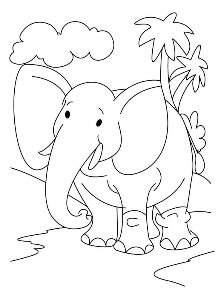 Слон картинки раскраски (17)