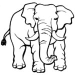 Слон картинки раскраски (20)