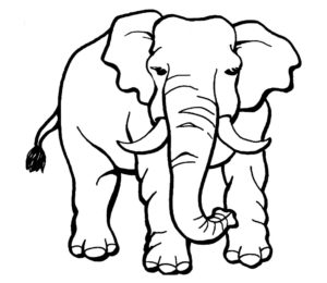 Слон картинки раскраски (20)