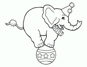 Слон картинки раскраски (21)