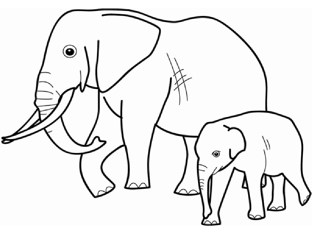 Слон картинки раскраски (25)