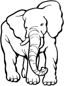 Слон картинки раскраски (3)