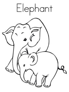 Слон картинки раскраски (36)