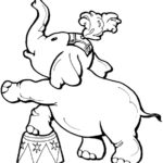 Слон картинки раскраски (38)