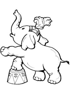 Слон картинки раскраски (38)