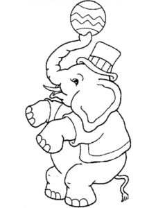 Слон картинки раскраски (39)