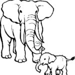 Слон картинки раскраски (41)