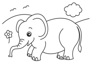 Слон картинки раскраски (5)