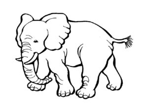 Слон картинки раскраски (9)