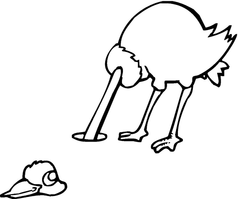 Голова страуса раскраска