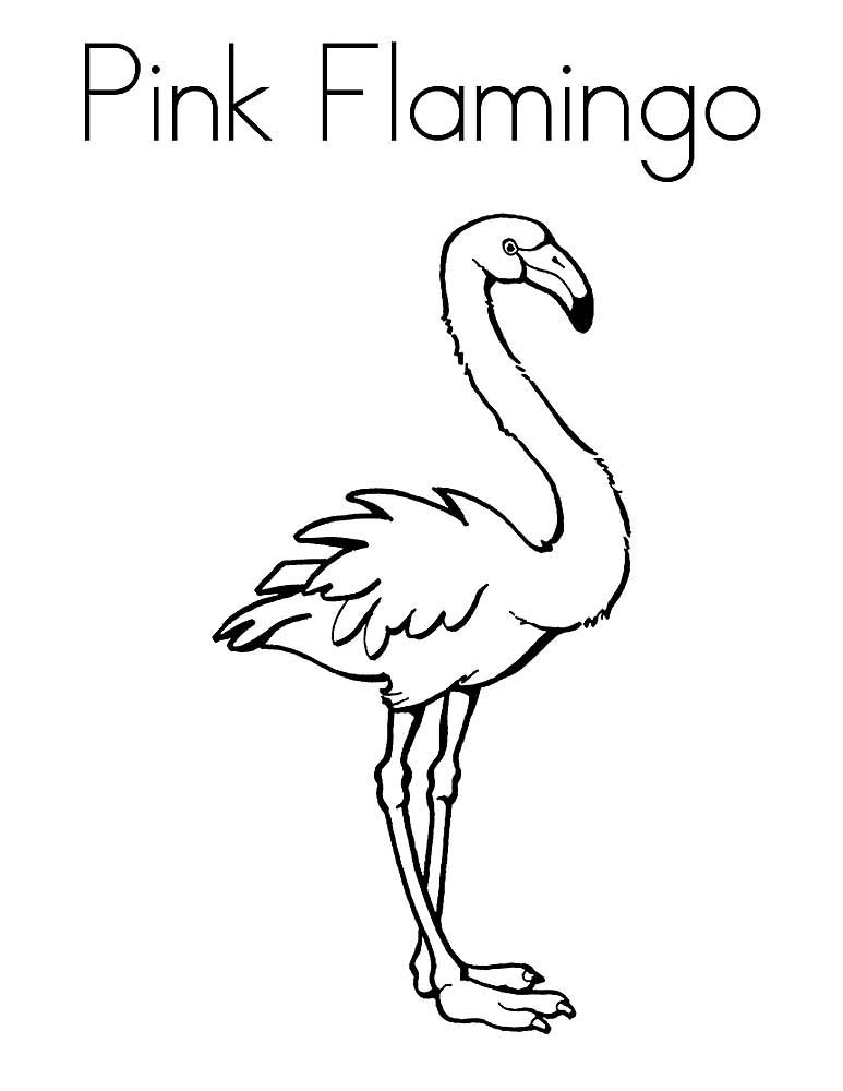 Фламинго картинки раскраски (19)
