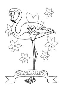 Фламинго картинки раскраски (30)
