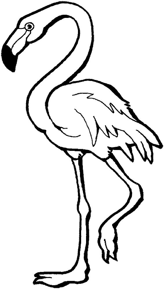 Фламинго картинки раскраски (6)