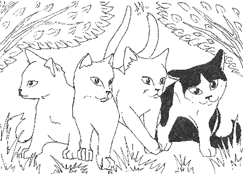 Коты воители картинки раскраски 24