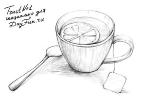 Как нарисовать чашку чая