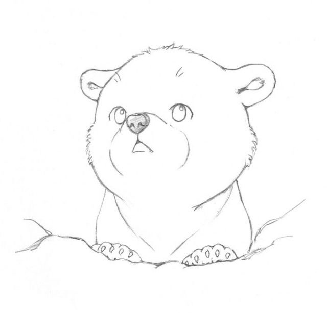 0e814447eb86f7f979740fd0df265229-bear-sketch-animal-sketches-640x614-1-3476148