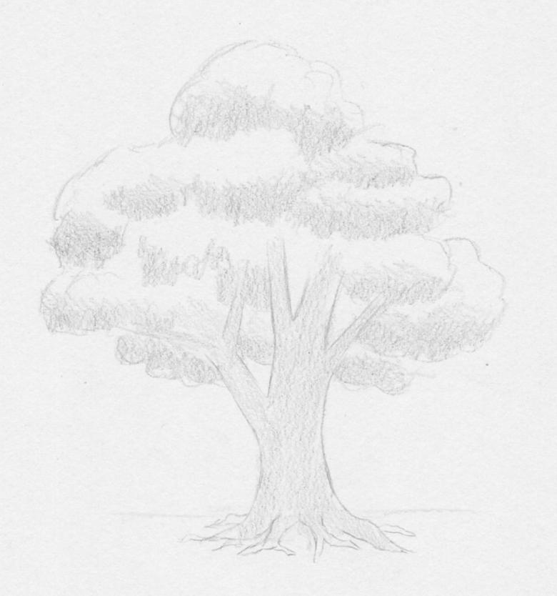 Как нарисовать осеннее дерево карандашом поэтапно