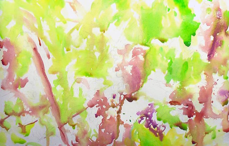 grapevines-watercolor2028329-8227078