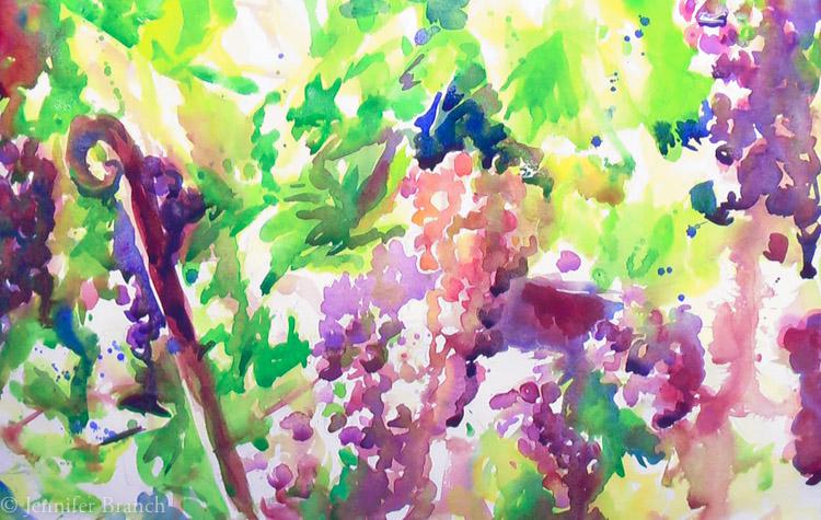 grapevines-watercolor2028529-4598913