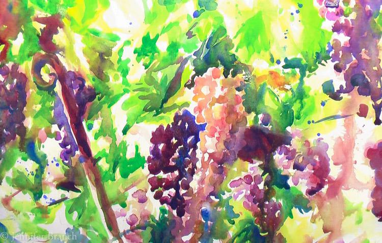 grapevines-watercolor2028629-6546916