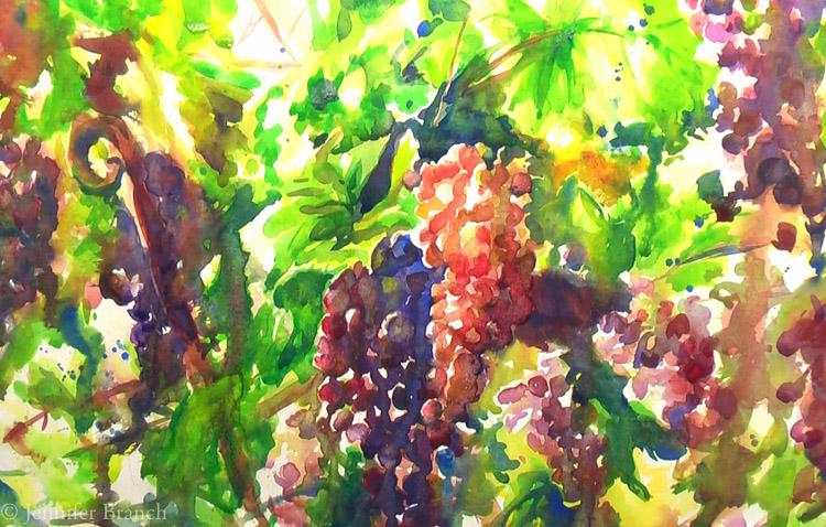 grapevines-watercolor2028829-9136685