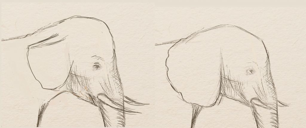 head-of-elefant-6049845