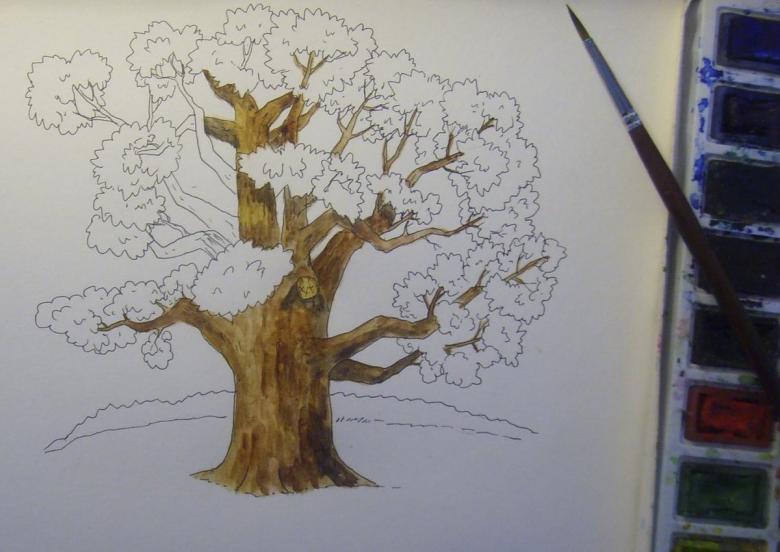 Как нарисовать денежное дерево карандашом поэтапно
