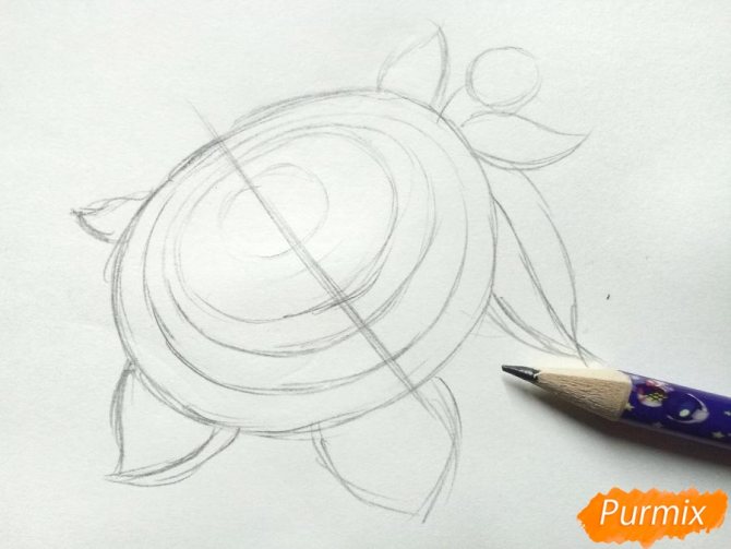 Как нарисовать георгины поэтапно карандашом