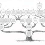 Как нарисовать родословное древо семьи своими руками