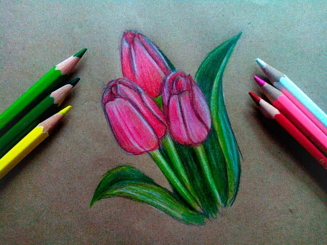 Как нарисовать тюльпан гуашью поэтапно для начинающих