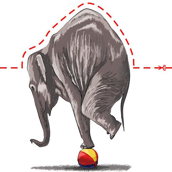 Как научиться рисовать 3D слона на шаре - шаг 10