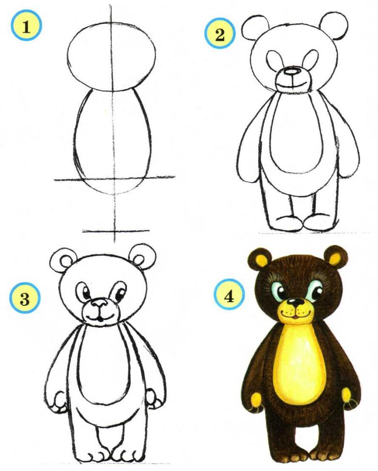 Как нарисовать медведя поэтапно карандашом для начинающих