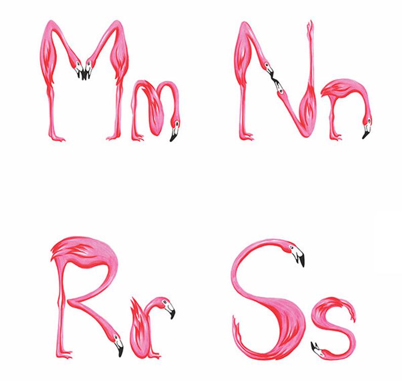 lettering-flamingo-5454483